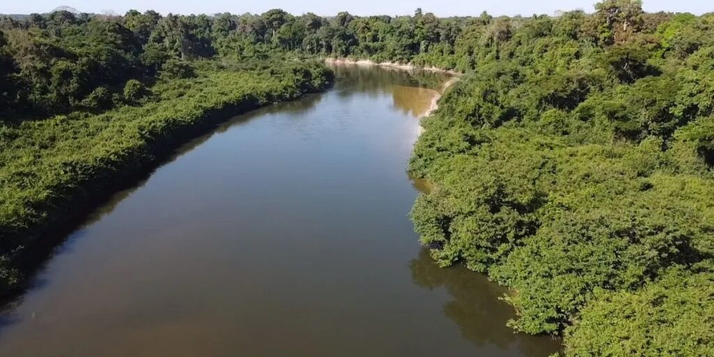 Luto Morte De Cantor Sertanejo Acaba De Ser Confirmada Ao P Blico