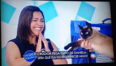 Gato arranha testa de mulher (foto: Reprodução / TV Record)