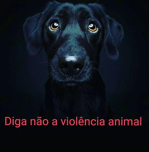 Fabíola Reipert pede pelo fim da violência contra os animais. (Foto: Reprodução)