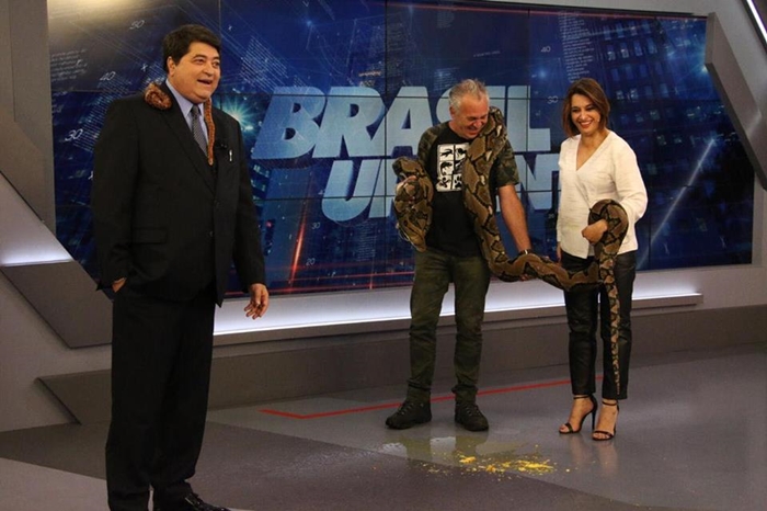 Datena e Catia Fonseca são surpreendidos por cobra no Brasil Urgente (Foto: TV Foco)