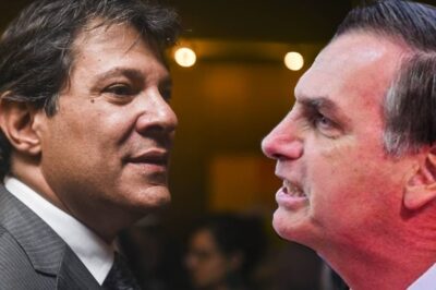 Fernando Haddad disputa com Jair Bolsonaro (Foto: Reprodução)