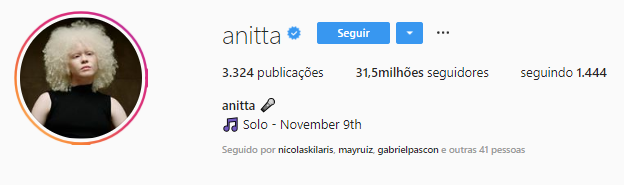 Perfil da Anitta em seu Instagram (Foto: Reprodução).