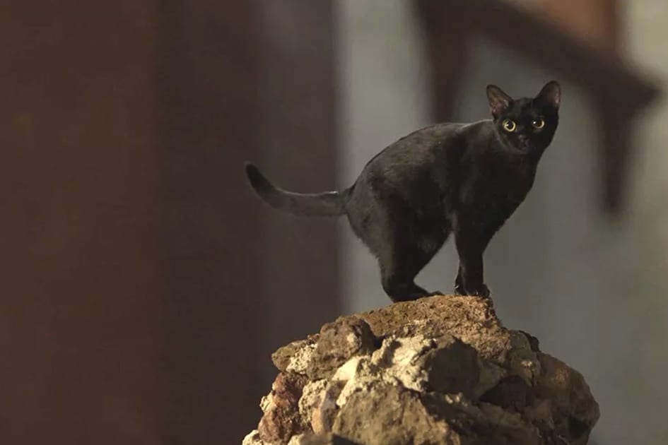 León em cena de O Sétimo Guardião (Foto: Reprodução)