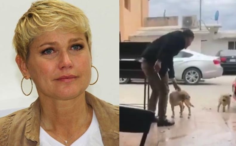 Xuxa Meneghel divulga vídeo polêmico (Foto: Reprodução/Instagram)