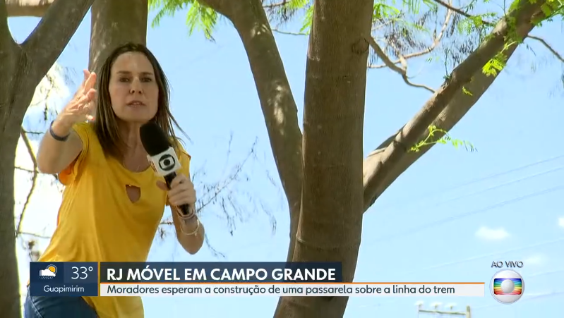 A repórter Susana Naspolini em cima de árvore ao vivo no RJ1 (Foto: Reprodução/Globo)