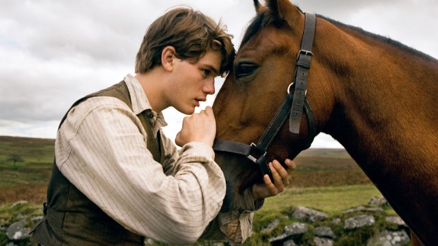 Cavalo De Guerra na Sessão da Tarde 