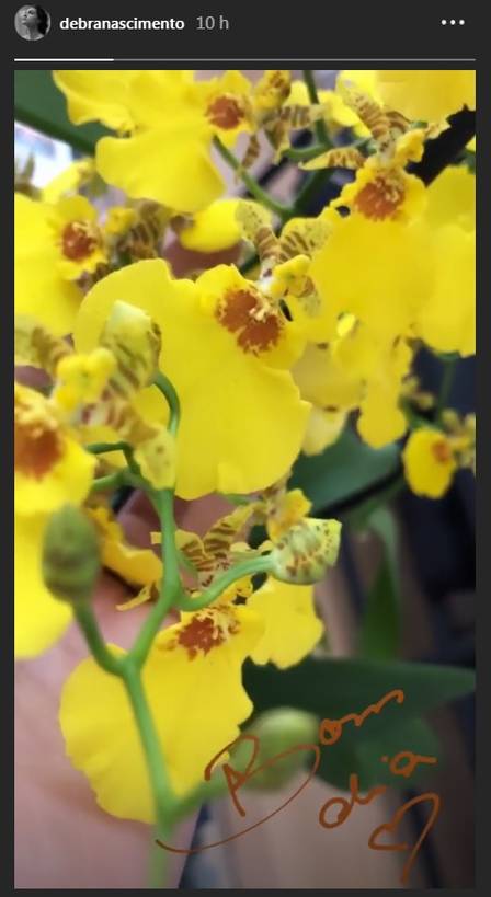 Débora Nascimento dá "bom dia" com foto de orquídeas Foto: reprodução/ instagram