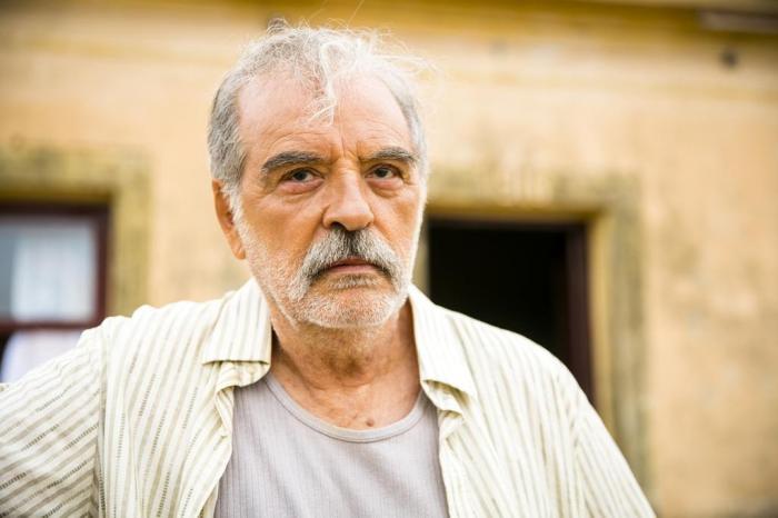 Ademir em cena da novela das 21h, A Dona do Pedaço (Foto: Reprodução)