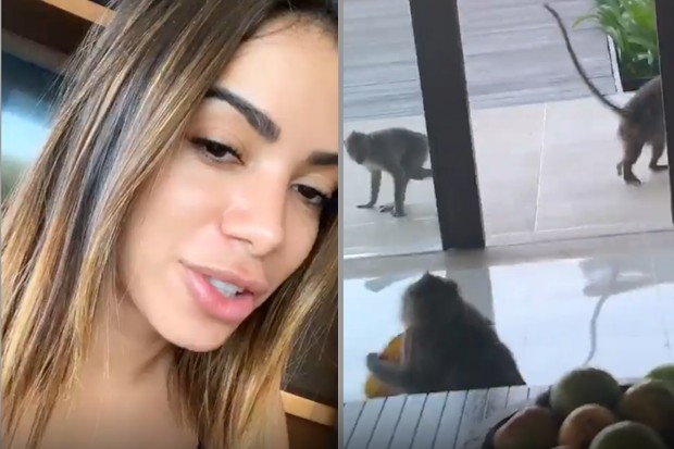 Anitta é atacada por macacos na Indonésia (Foto: Divulgação)