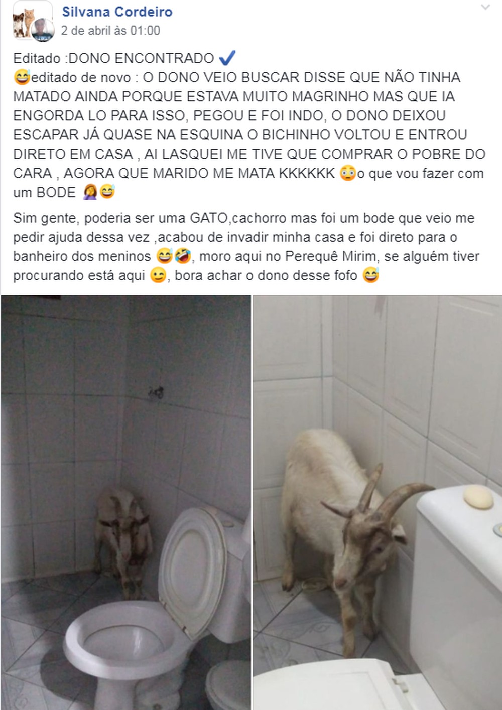 Bode foi encontrado no banheiro por moradora de Caraguatatuba — Foto: Reprodução/ Facebook