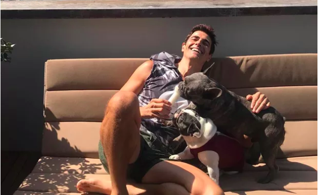 Reynaldo Gianecchini com seus cachorros. Foto: Reprodução/Instagram A Dona do Pedaço