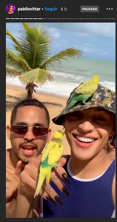 Pabllo Vittar aparece com periquitos durante férias em Trancoso. Foto: Reprodução/Instagram