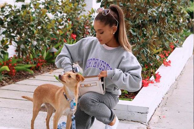 Ariana Grande e um de seus pets (Foto: Reprodução)