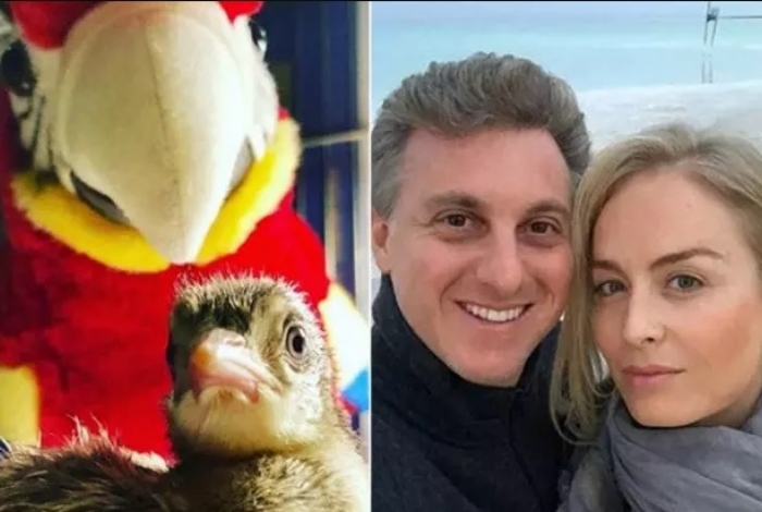 Luciano Huck, Angélica e Pavão - Reprodução da internet