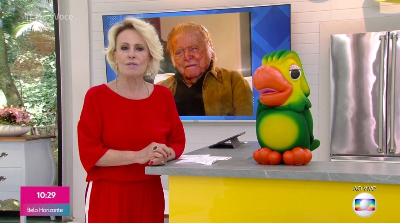 Ana Maria Braga, Globo