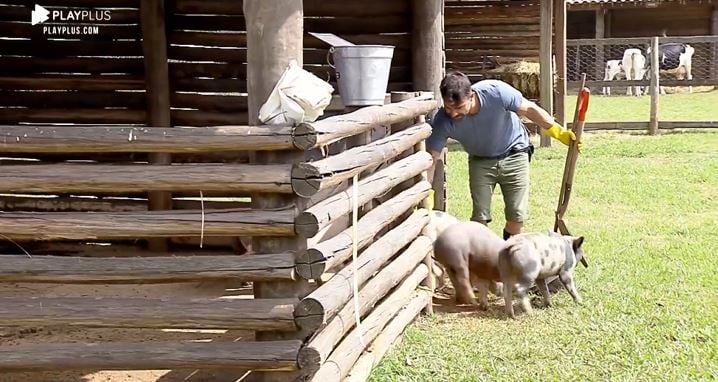 Jorge Sousa se diverte com porquinhos em A Fazenda 11 e coloca o nome de Laura Keller (Reprodução: PlayPlus)