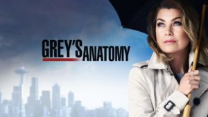 A série Grey's Anatomy pode sair do catálogo da Netflix (foto: Reprodução)