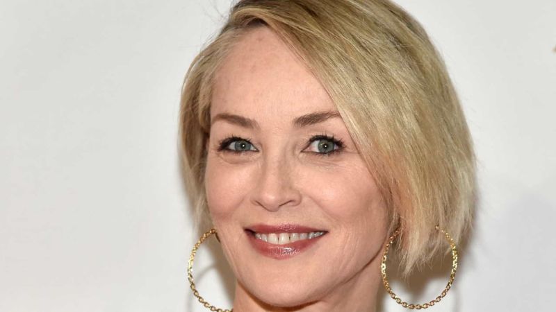 Sharon Stone falou sobre falta de emprego por conta da Aids (Foto: Reprodução)