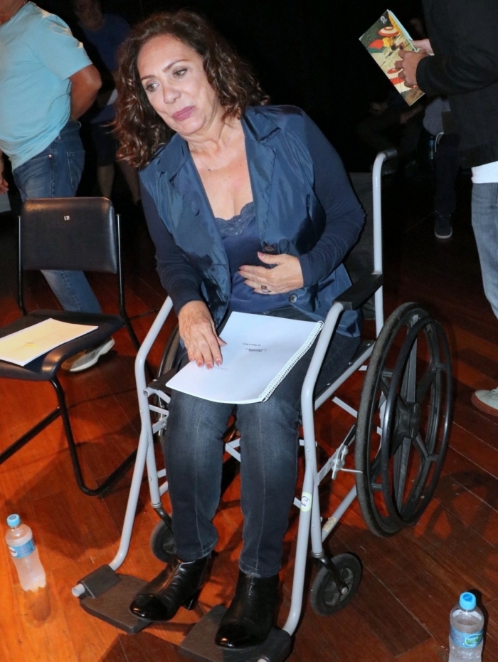 Eliane Giardini em cadeira de rodas durante evento (Foto: AgNews)