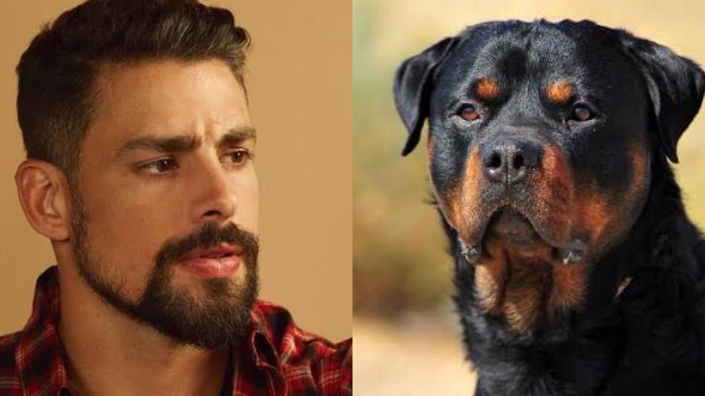 Cauã Reymond é flagrado junto com seu cão, Romeu (Montagem: TV Foco)