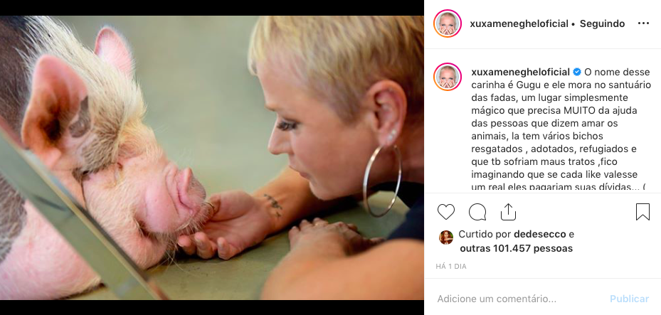 Xuxa Meneghel, Junno Andrade