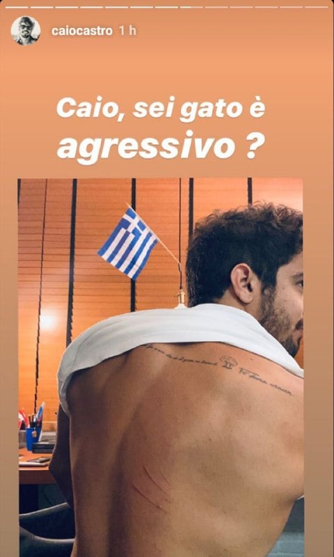 Caio Castro mostrou as costas após ser arranhado por gato de estimação (Foto: Reprodução/ Instagram)