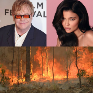 Veja a lista de celebridades que fizeram doações para combater os incêndios na Austrália (Foto: Reprodução)