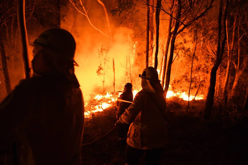 Veja a lista de celebridades que fizeram doações para combater os incêndios na Austrália (Foto: Reprodução)