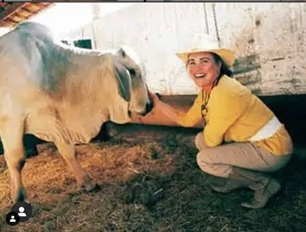 José publicou foto de Regina Duarte cuidando de animal (Foto: Reprodução) Bolsonaro