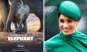 Imagem do post Após deixar a realeza, Meghan Markle é a nova contratada da Disney