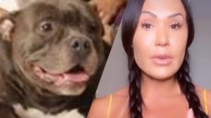 Gracyanne Barbosa cria crise de ciúmes entre seus cachorros, Kira e Bela(Imagem: Instagram)