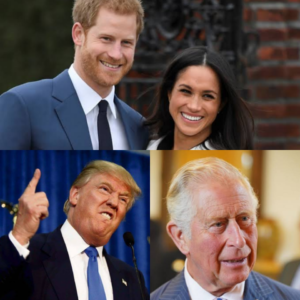 Príncipe Charles vai pagar pela segurança de Harry e Meghan Markle nos EUA (Foto: Reprodução)