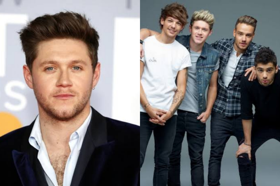 Modelo revela ter dado um fora em Nial Horan, ex-One Direction (Foto: Reprodução)