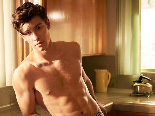 Verdadeira sexualidade de Shawn Mendes vem à tona após cantor ser pego no pulo do gato (Foto: Reprodução)