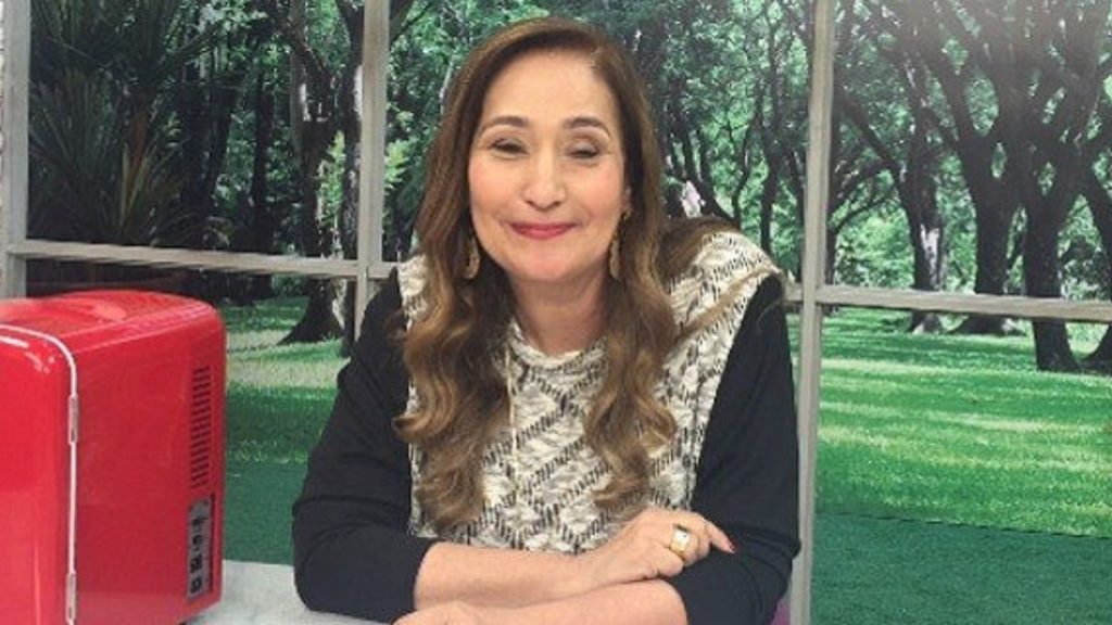 Sonia Abrão é apresentadora do A Tarde é Sua (Foto: Reprodução/RedeTV!)