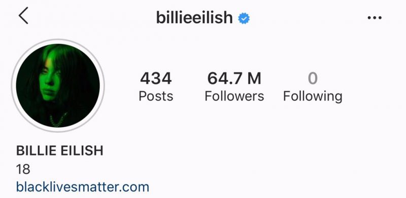 Billie Eilish deixa de seguir todos em suas redes sociais (Foto: Reprodução)