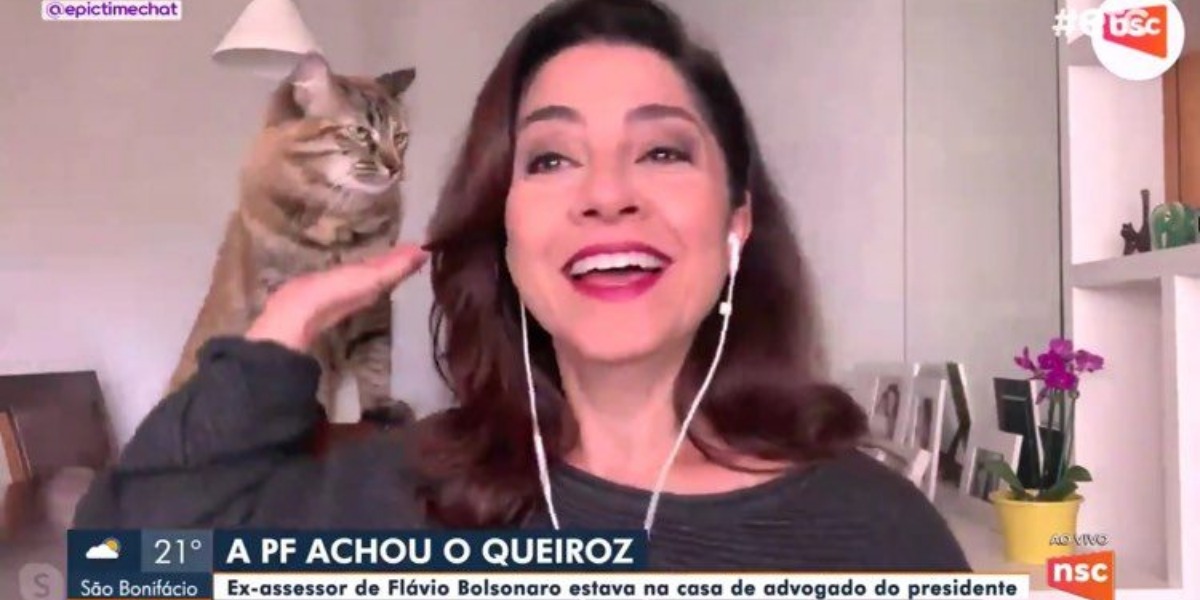 Carolina Bahia, jornalista da NSC, filial da Bahia, foi interrompida por sua gata, Kitty, ao vivo (Imagem: Globo)