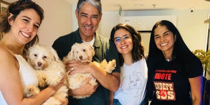 Natasha Dantas e William Bonner adotaram um casal de cachorros (Foto: reprodução)