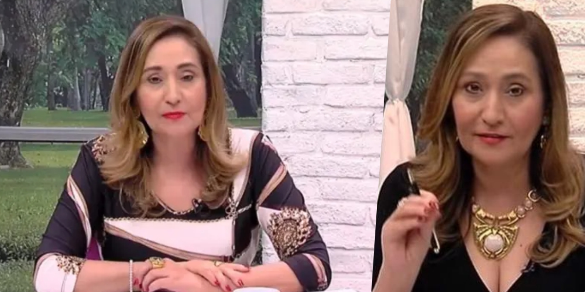 Sonia Abrão, comanda o A Tarde é Sua na RedeTV (Foto montagem)