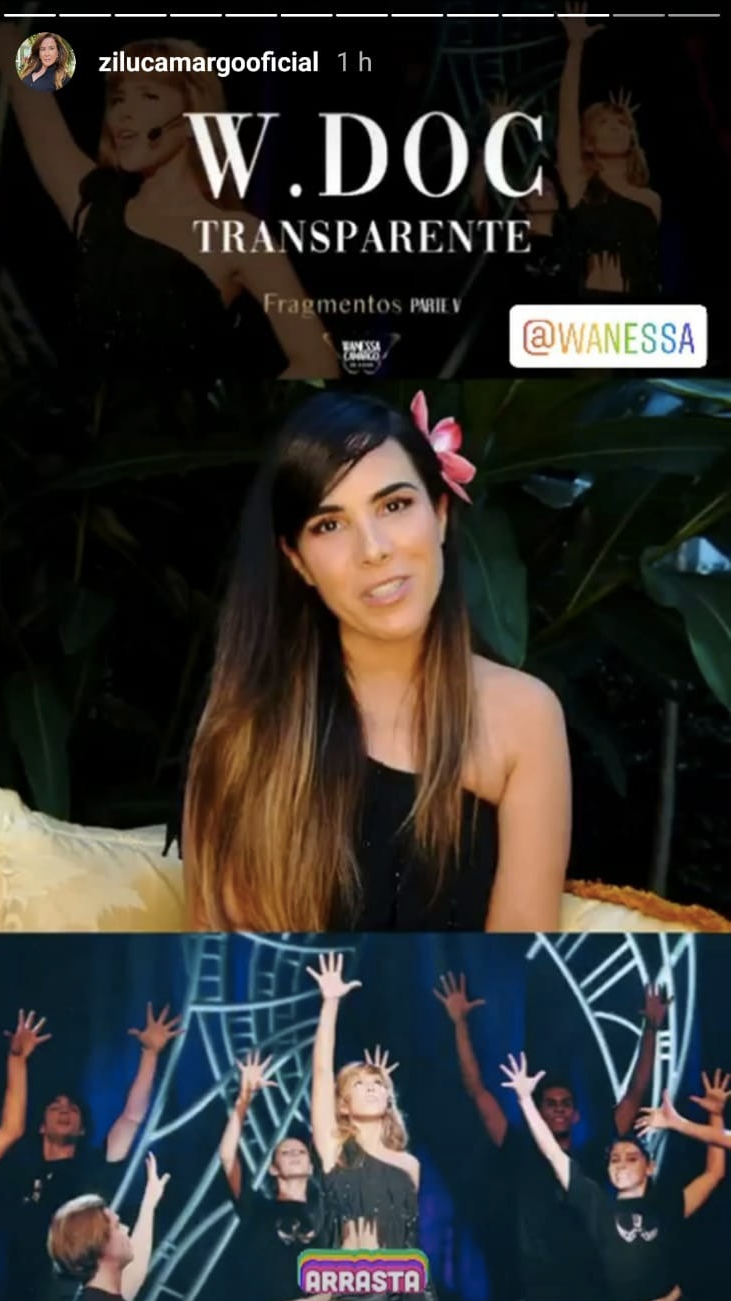 Zilu postou um stories falando sobre Wanessa (Foto: reprodução/Instagram)