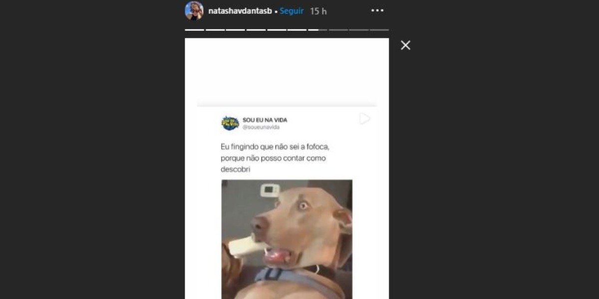 Natasha Dantas compartilhou post divertido nas redes sociais (Foto: Reprodução/Instagram)