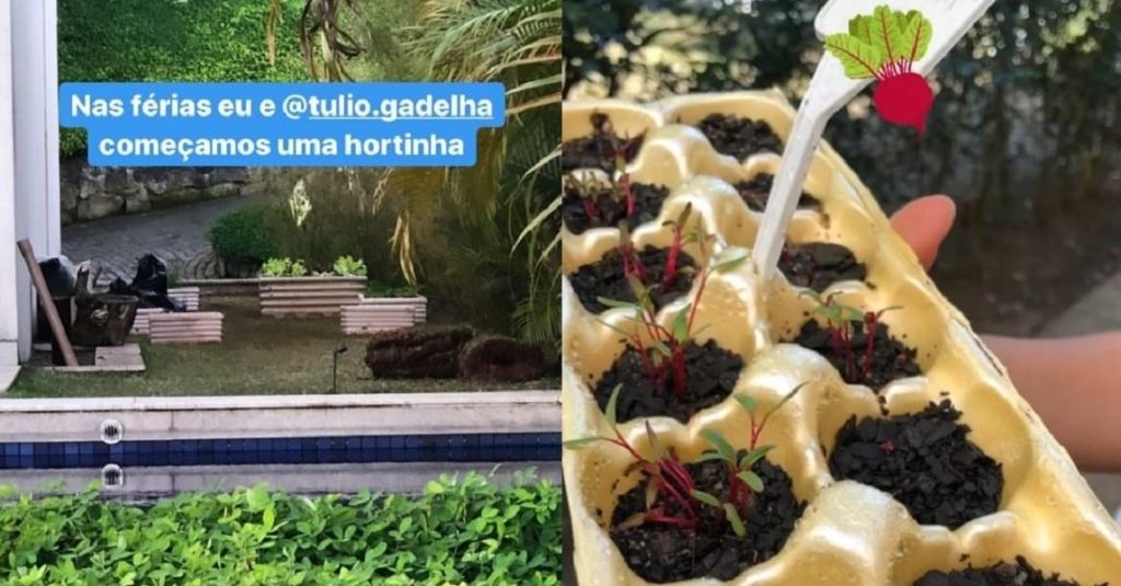 Horta feita por Fátima Bernardes com Túlio Gadêlha. (Foto: Reprodução)