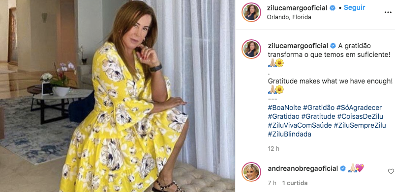 Zilu recebeu um comentário de Andréa Nóbrega (Foto: reprodução/Instagram)