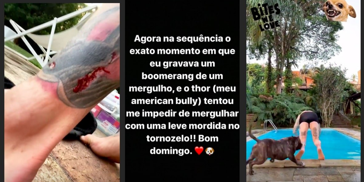 Felipe Titto é atacado por cachorro (Foto: Montagem)