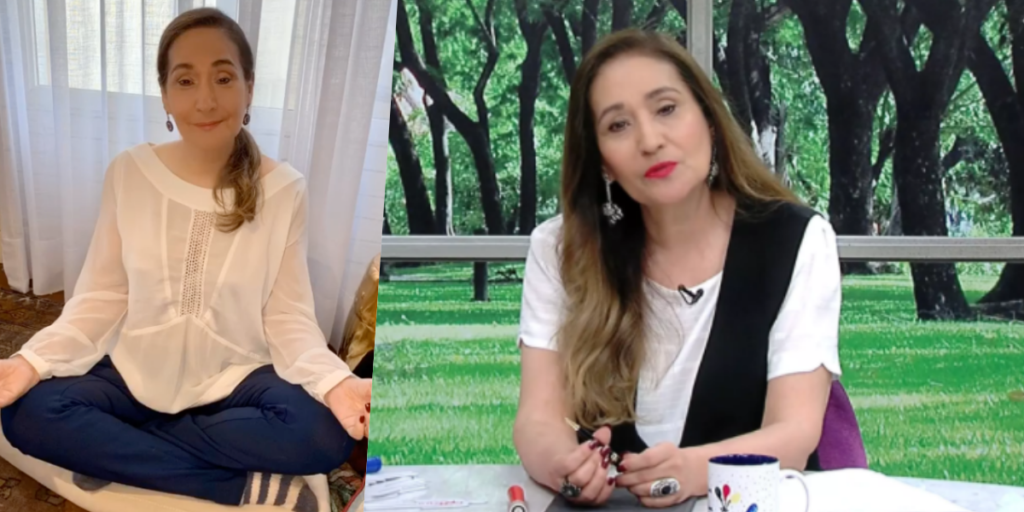 Sonia Abrão comanda o A Tarde é Sua na RedeTV! (Foto montagem) 