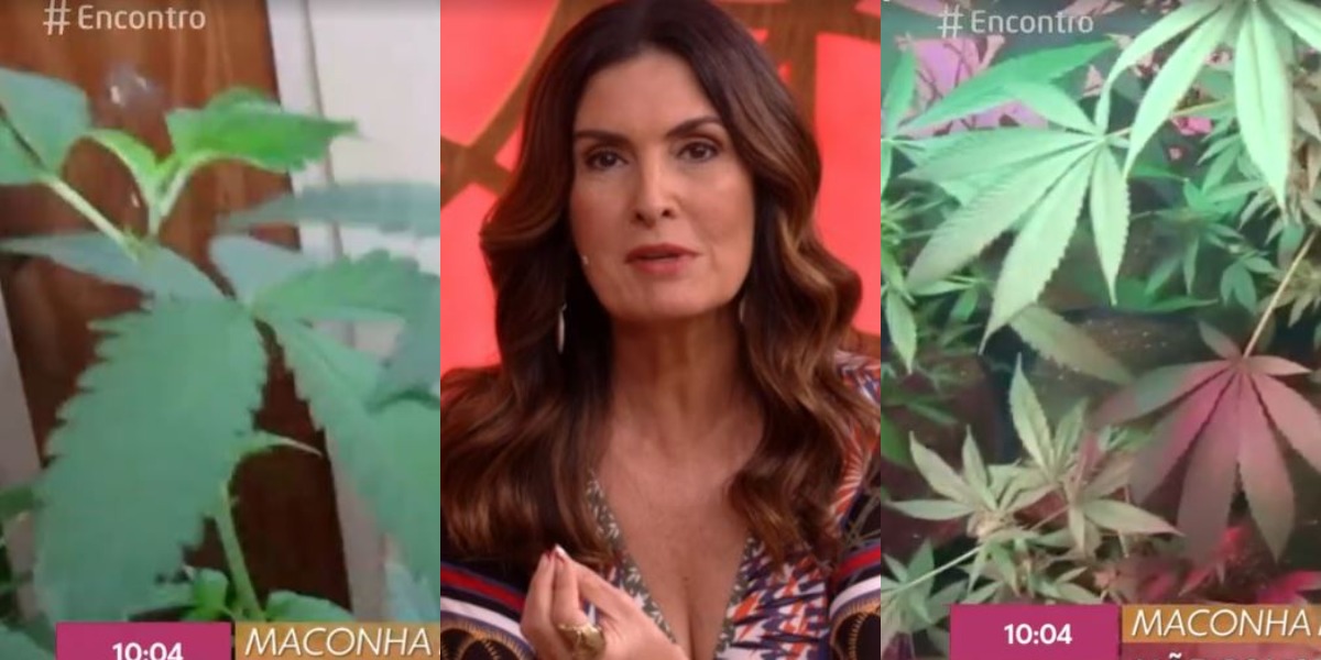 Fátima Bernardes falou sobre o uso de maconha medicinal no "Encontro" (Foto: Reprodução/TV Globo)