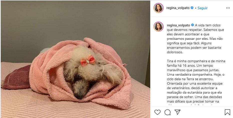 Publicação de Regina Volpato se despedindo da sua cachorra Tina (Foto: Reprodução)