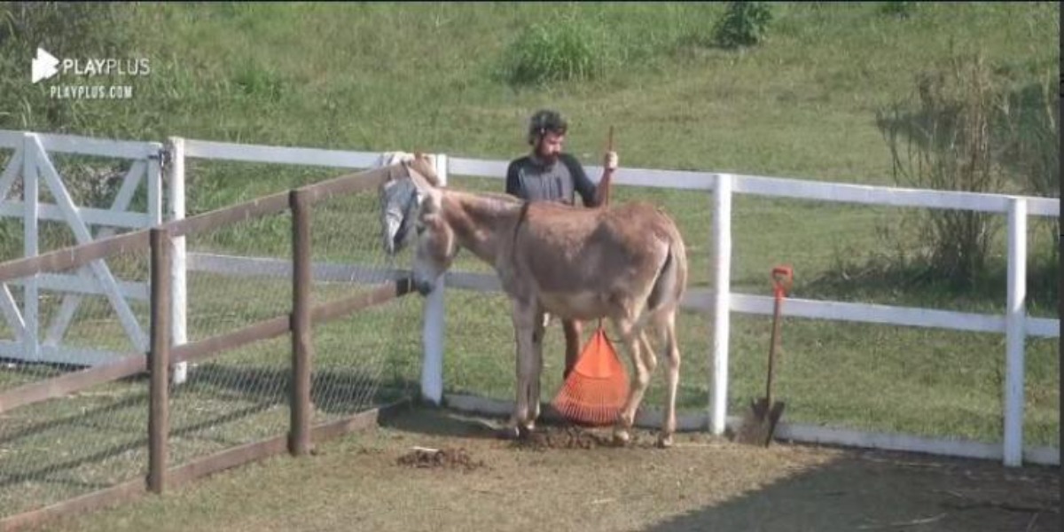 Momento em que Cartolouco bate-papo com a jumenta (Foto: Reprodução)