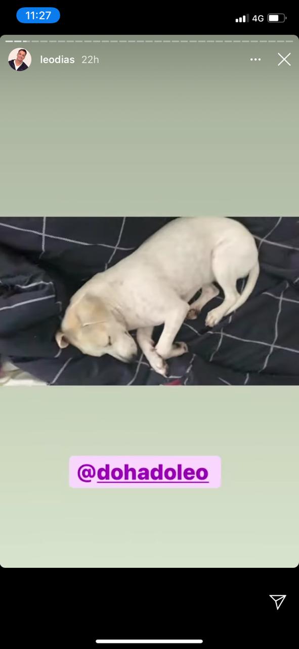 Apresentador aparece relaxando ao lado de cachorrinha na cama (Reprodução: Instagra)