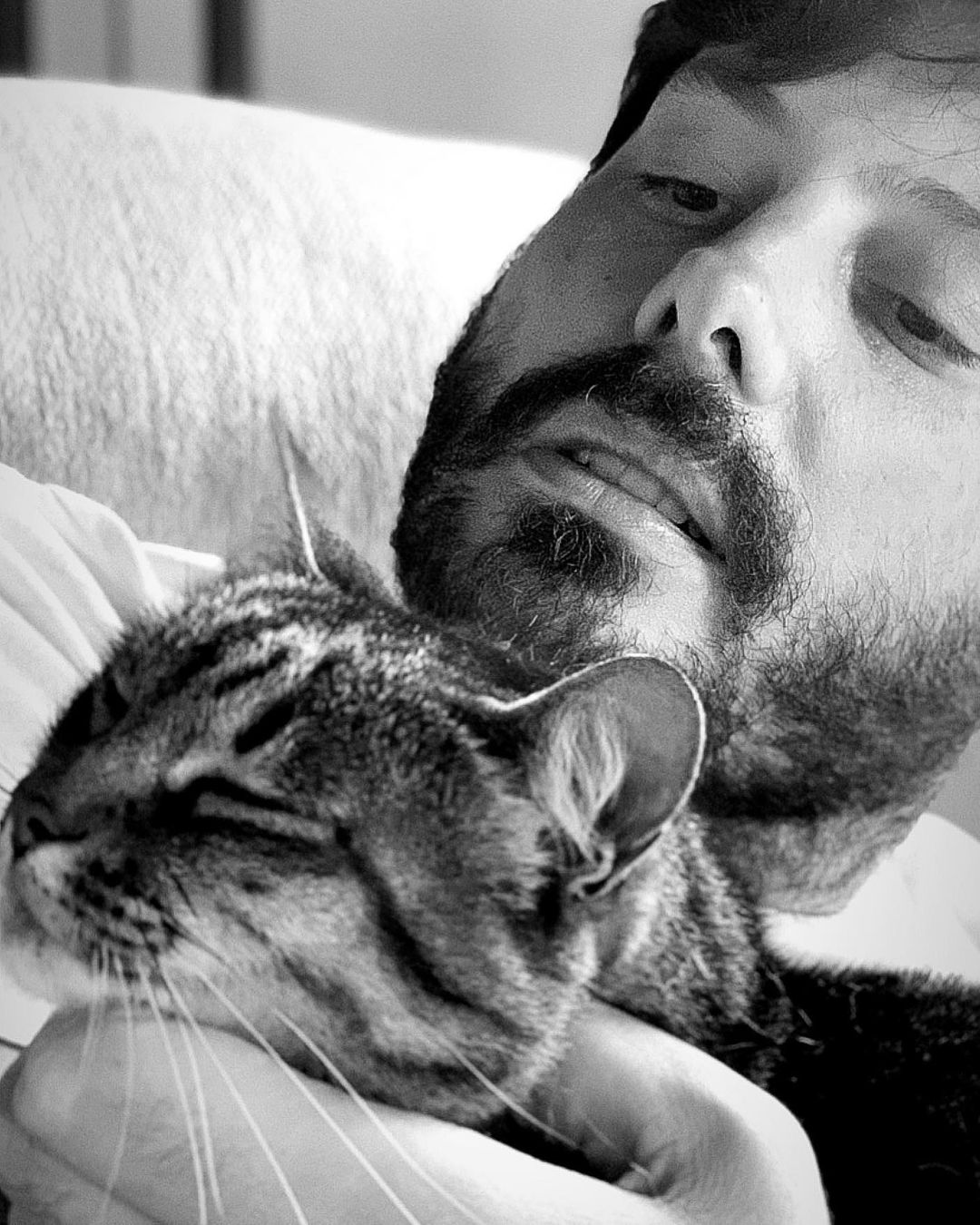 Danilo Gentili foi pego com gato na cama e virou assunto no TV Foco (Foto: Reprodução/Instagram)